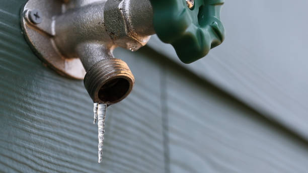 Best Plumbing Services Near Me  in Sour Lake, TX